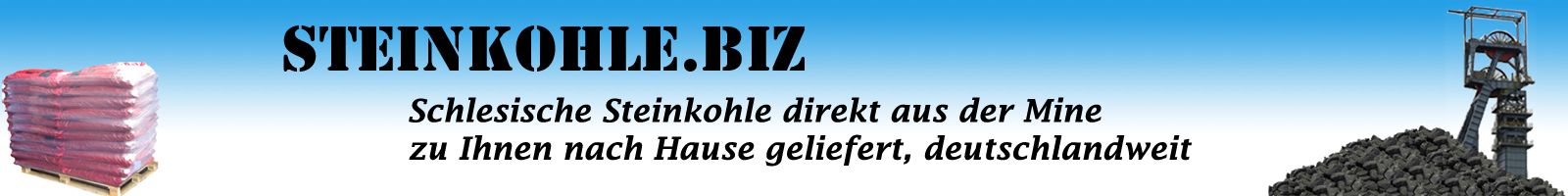 Heizen Mit Steinkohle Ein Preisgunstiger Brennstoff